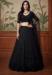 Picture of Amazing Net Black Lehenga Choli