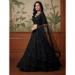 Picture of Amazing Net Black Lehenga Choli