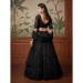 Picture of Amazing Net Black Lehenga Choli