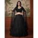 Picture of Amazing Net Black Lehenga Choli