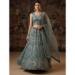 Picture of Elegant Net Medium Sea Green Lehenga Choli