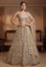 Picture of Pleasing Net Rosy Brown Lehenga Choli