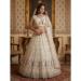 Picture of Statuesque Net Sea Shell Lehenga Choli