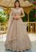 Picture of Statuesque Satin Rosy Brown Lehenga Choli