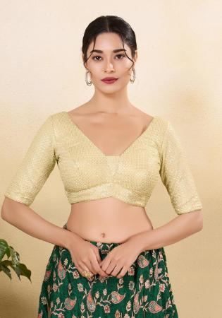 Picture of Wonderful Net Wheat Designer Blouse