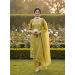 Picture of Statuesque Cotton Sienna Straight Cut Salwar Kameez