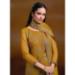 Picture of Superb Organza Chocolate Straight Cut Salwar Kameez