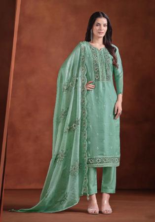 Picture of Organza Cadet Blue Straight Cut Salwar Kameez