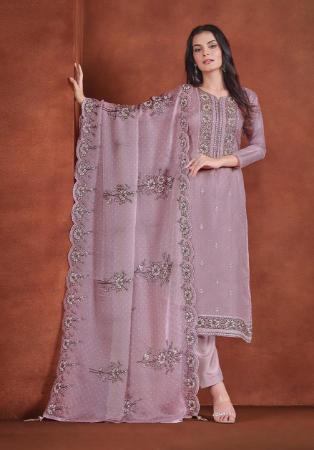Picture of Organza Rosy Brown Straight Cut Salwar Kameez