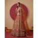 Picture of Comely Silk Chocolate Lehenga Choli