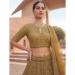 Picture of Beauteous Net Saddle Brown Lehenga Choli