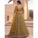 Picture of Beauteous Net Saddle Brown Lehenga Choli