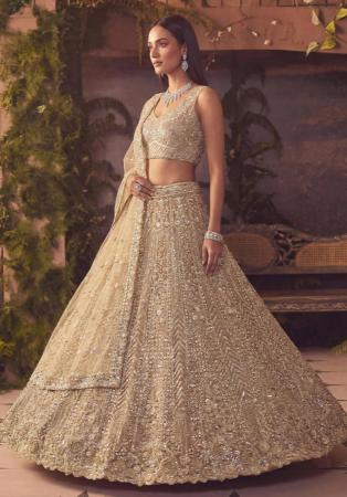 Picture of Grand Net Beige Lehenga Choli