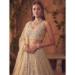 Picture of Grand Net Beige Lehenga Choli