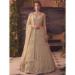 Picture of Grand Net Beige Lehenga Choli