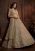 Picture of Enticing Net Grey Lehenga Choli