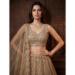 Picture of Enticing Net Grey Lehenga Choli