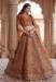 Picture of Magnificent Net Chocolate Lehenga Choli