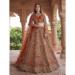 Picture of Magnificent Net Chocolate Lehenga Choli