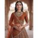Picture of Magnificent Net Chocolate Lehenga Choli