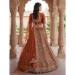 Picture of Magnificent Net Chocolate Lehenga Choli