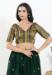 Picture of Fine Chiffon Dark Khaki Designer Blouse