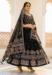 Picture of Bewitching Rayon & Cotton Black Lehenga Choli