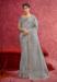 Picture of Marvelous Net Dark Grey Saree