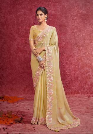 Picture of Alluring Net Burly Wood Saree