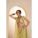 Picture of Sublime Net Dark Khaki Lehenga Choli