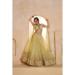 Picture of Sublime Net Dark Khaki Lehenga Choli