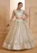Picture of Pleasing Net Azure Lehenga Choli