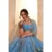 Picture of Gorgeous Net Cadet Blue Lehenga Choli
