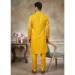 Picture of Elegant Silk Golden Rod Kurtas