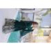 Picture of Excellent Cotton Sea Green Readymade Gown