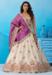 Picture of Stunning Silk Tan Lehenga Choli
