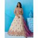 Picture of Stunning Silk Tan Lehenga Choli