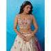 Picture of Stunning Silk Tan Lehenga Choli