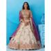 Picture of Stunning Silk Tan Lehenga Choli