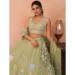 Picture of Marvelous Silk Tan Lehenga Choli